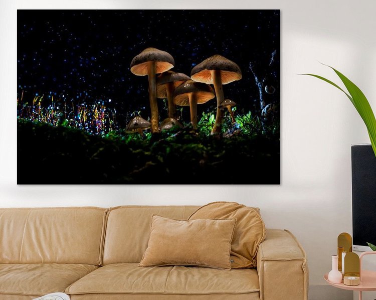 Aperçu de la chambre