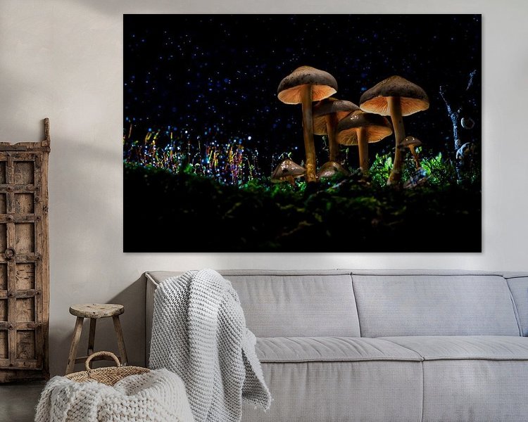 Aperçu de la chambre