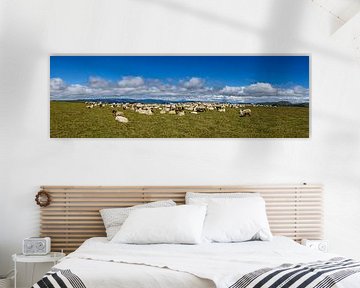 Kudde schapen van Roland Brack