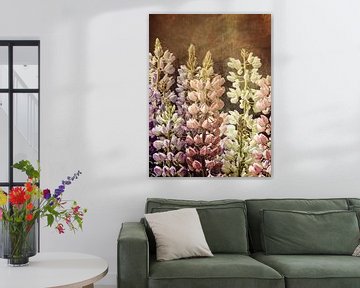 MAGICAL LUPINS no1 by Pia Schneider