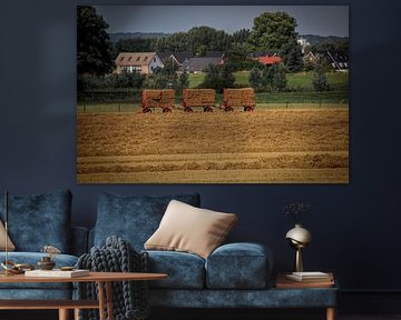 Hay bales on carts