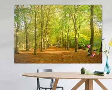Chemin à travers une forêt de hêtres avec des feuilles brunes sur la forêt sur Sjoerd van der Wal Photographie