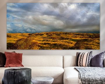 Dunes of Texel during a stormy autumn morning by Sjoerd van der Wal Photography