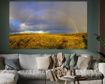 Regenboog in de duinen van Texel in de Waddenzee