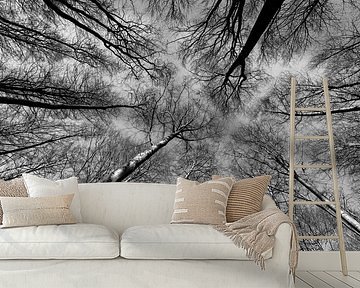 Reach out to the sky - black & white by Remco Bosshard