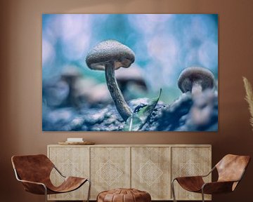 Mushroom by Hennie Zeij