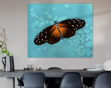 De heliconius hecale vlinder  of passievlinder van Bianca Wisseloo