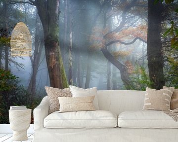 Autumn Festival by Jeroen Lagerwerf