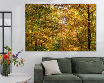 Blik naar boven in een beukenbos met goudbruine bladeren van Sjoerd van der Wal Fotografie