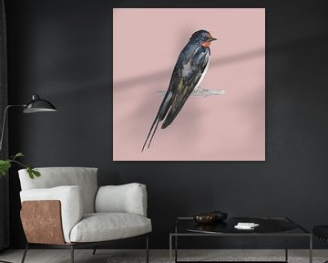 Barn swallow by Dune designs