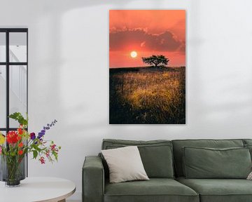 Arbre dans un paysage au lever du soleil sur Fotos by Jan Wehnert