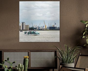 Nieuwe Maas - Rotterdam