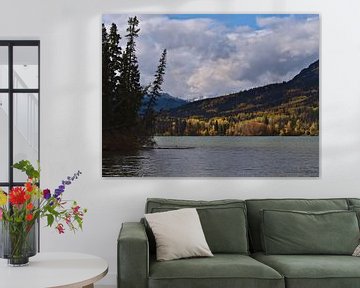 Yellow Trees at Yellowhead Lake von Timon Schneider