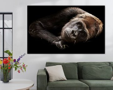 Vrouwelijke gorilla van Eva Sträter