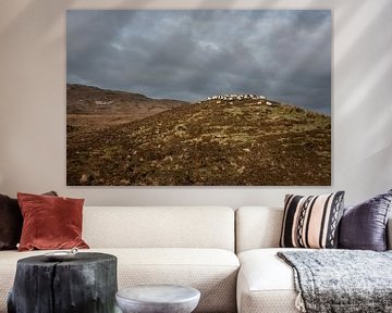 Moutons sur une colline sur Bo Scheeringa Photography