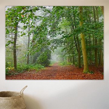 Ein ruhiger Spaziergang im Wald