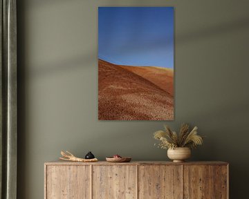 Painted Hills, Oregon van Yara Dragt