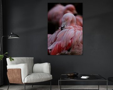 Style flamant rose sur Astrid Bregman