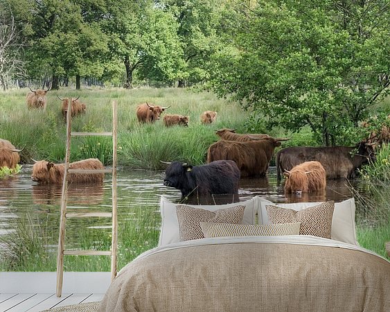 Voorbeeld van het werk in een kamer
