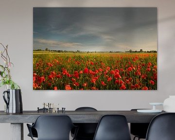 Een veld vol met klaprozen van Moetwil en van Dijk - Fotografie