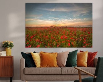 Feld mit Mohnblumen von Moetwil en van Dijk - Fotografie