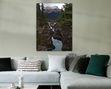 Wilde Athabasca Watervallen van Timon Schneider