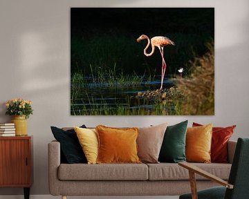 Stijlvolle grote flamingo. van Machiel Zwarts