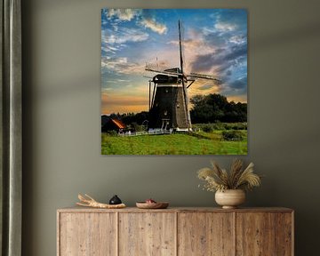 Holländische Mühle von Carla van Zomeren