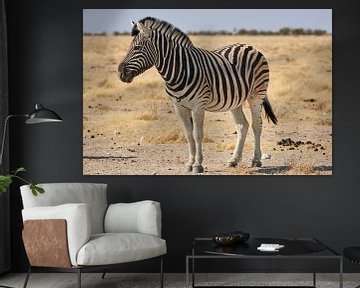 Steppe zebra in Namibië van Thomas Marx