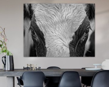 Portrait d'une vache sur Rob Boon