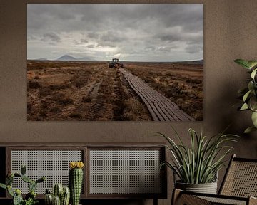 Extraction de tourbe en Irlande (version couleur) sur Bo Scheeringa Photography