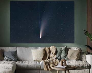 Komeet Neowise aan de hemel van Martin Steiner