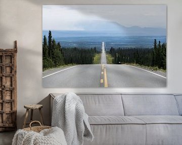 Highway in Alaska van Dirk Fransen