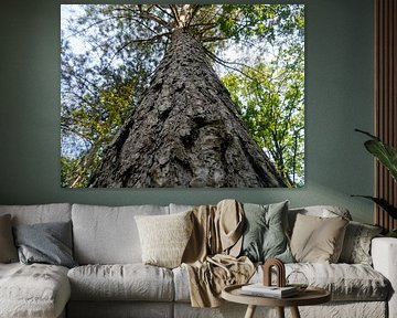 The tree knows everything.