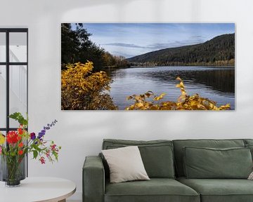 Meer van Gerardmer, herfst in Vogezen, Frankrijk van Imladris Images