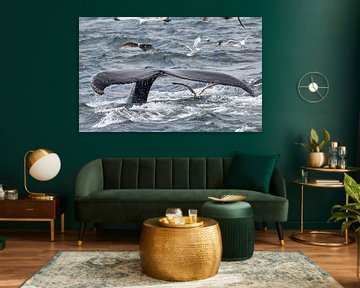 Whale tail by Jolene van den Berg