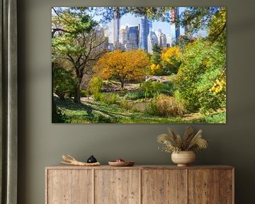 Central Park New York met uitzicht op de wolkenkrabbers van Tineke Visscher