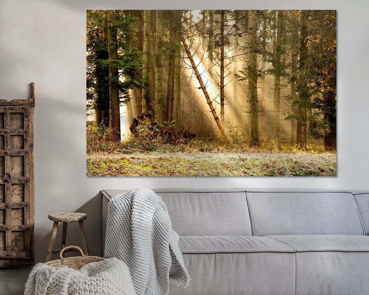 Voorbeeld van het werk in een kamer