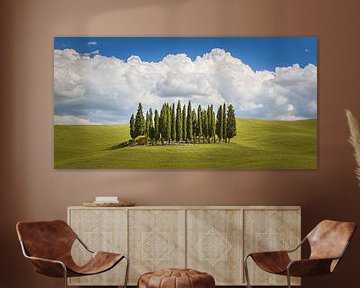 Cipressen in Toscane van Henk Meijer Photography