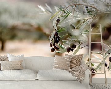 olives in an olive orchard on Crete, blue olives by Joke Troost
