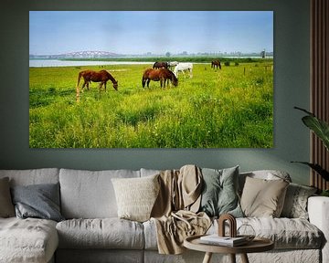 Chevaux dans les plaines inondables près de Zwolle sur Digital Art Nederland