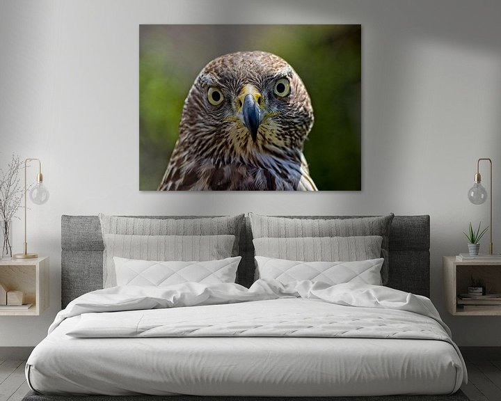 Sfeerimpressie: Portret van een roofvogel van Jan Enthoven Fotografie