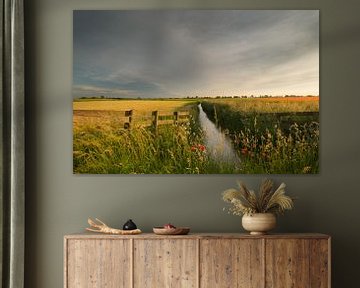 Klaprozen - papavers in het weidse landschap van Moetwil en van Dijk - Fotografie