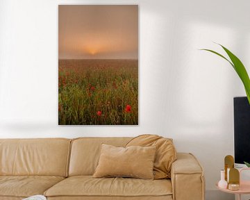 Champ de coquelicots au lever du soleil brumeux sur Moetwil en van Dijk - Fotografie