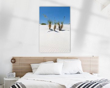 Dessin ondulé des dunes & yucca, White Sands National Monument