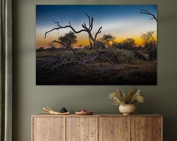 Betoverende zonsondergang in Chobé Botswana van De wereld door de ogen van Hictures