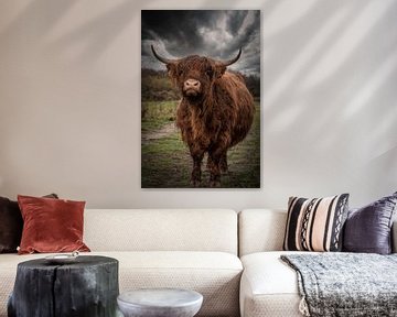 Schotse Hooglander: Donkere wolken boven natte koe van Marjolein van Middelkoop