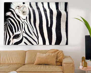 Fascinating stripe pattern of the zebra by De wereld door de ogen van Hictures