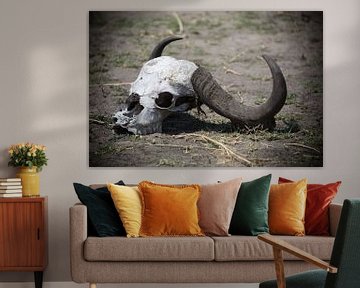 skull skull water buffalo end of story by De wereld door de ogen van Hictures