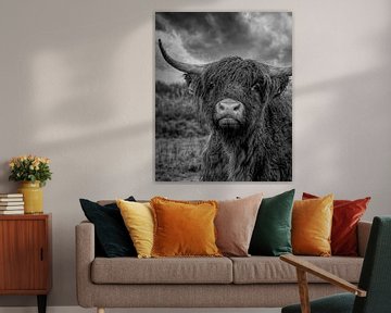 Portrait d'une vache écossaise Highlander humide en noir et blanc sur Marjolein van Middelkoop